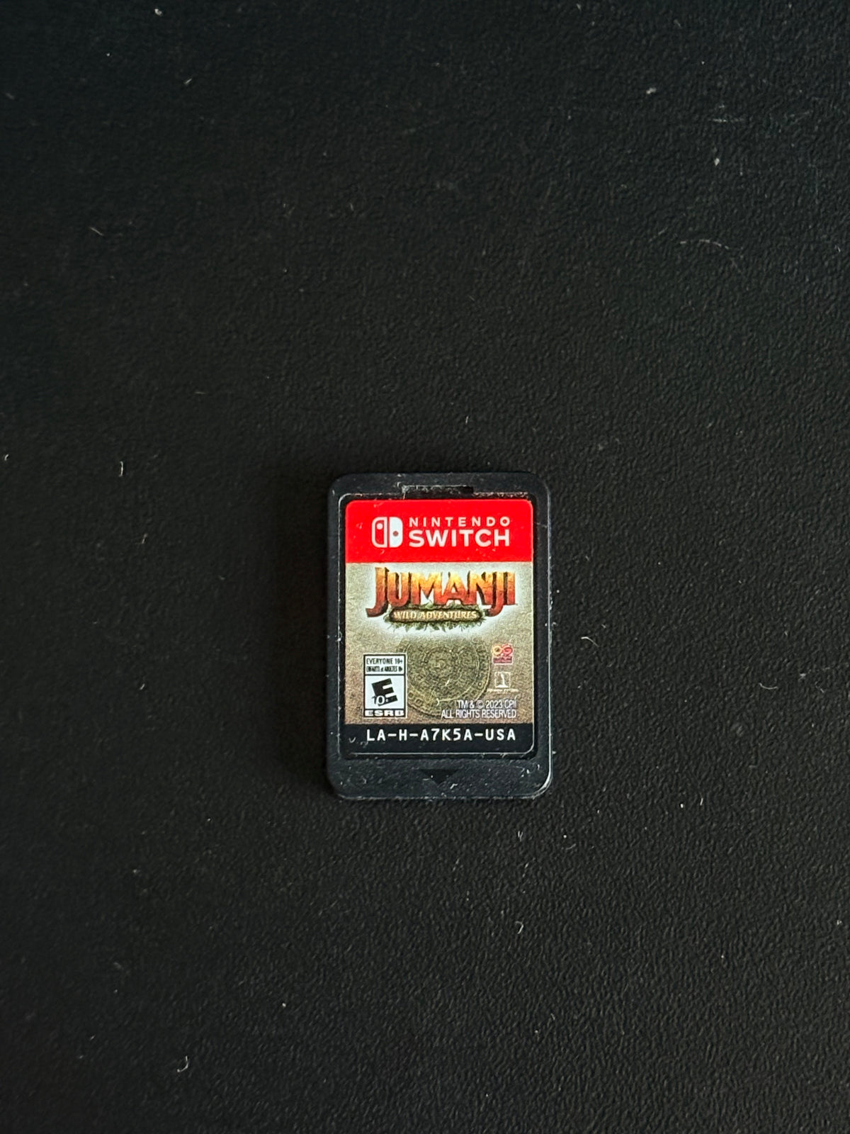 Jumanji Wild Adventures Nintendo Switch