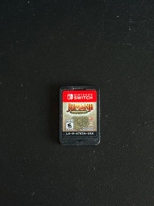 Jumanji Wild Adventures Nintendo Switch