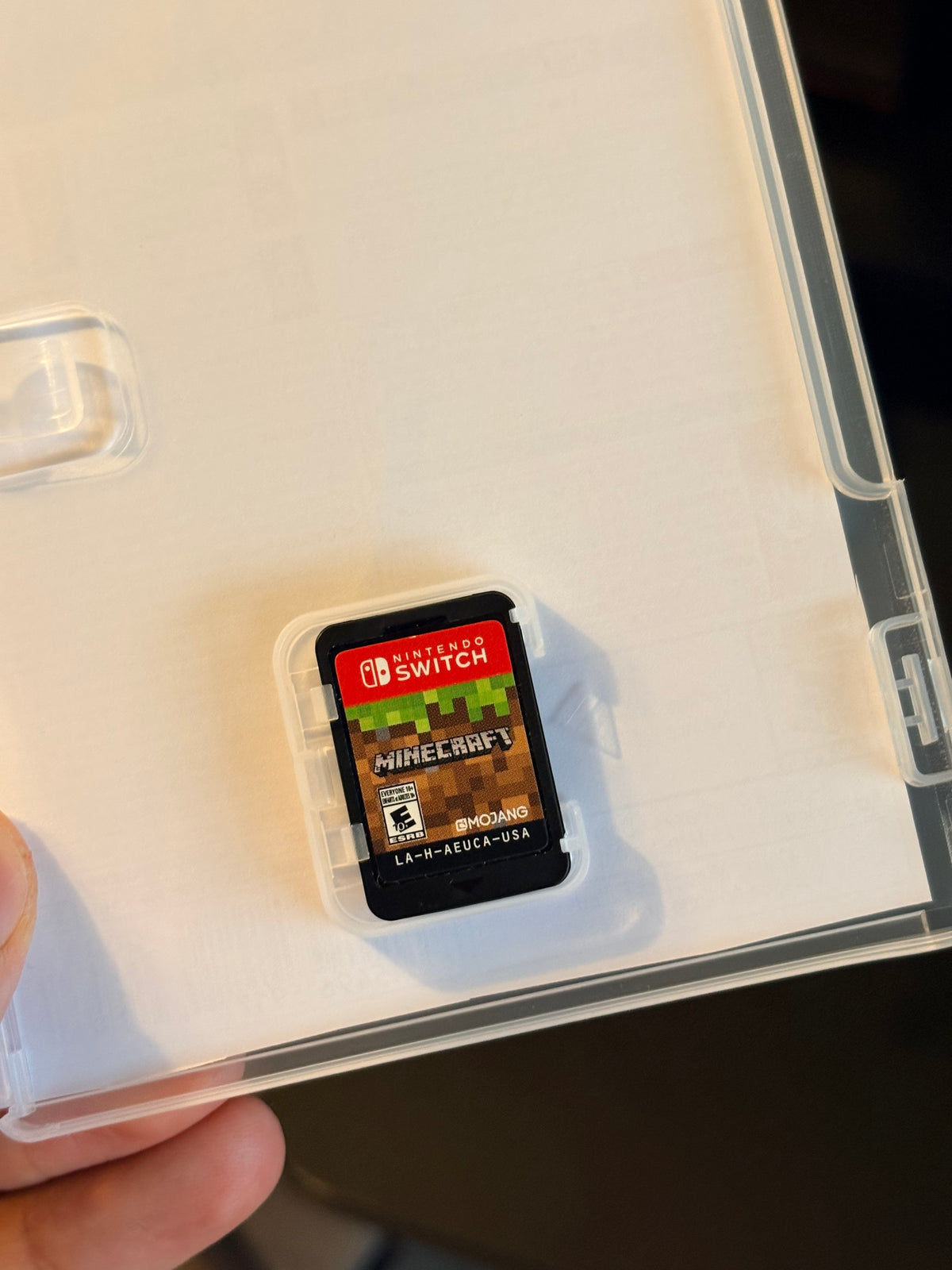 Minecraft Nintendo Switch