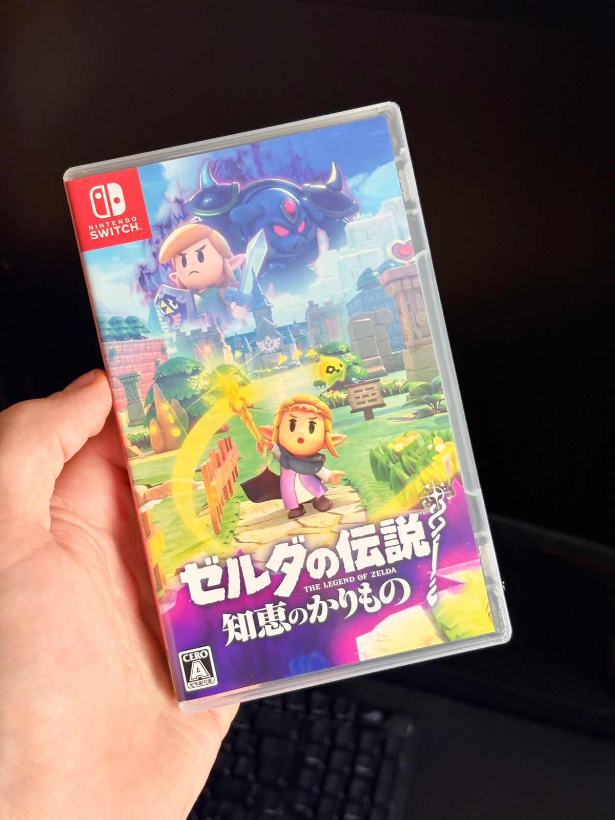 The Legend of Zelda: Echoes of Wisdom Nintendo Switch