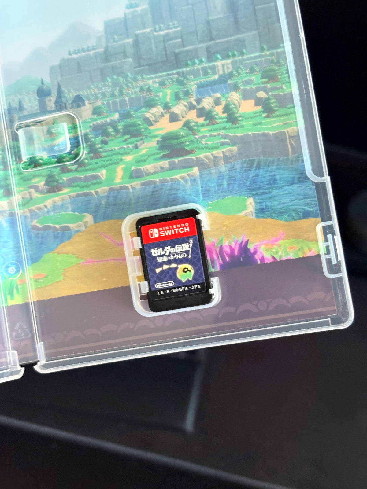 The Legend of Zelda: Echoes of Wisdom Nintendo Switch