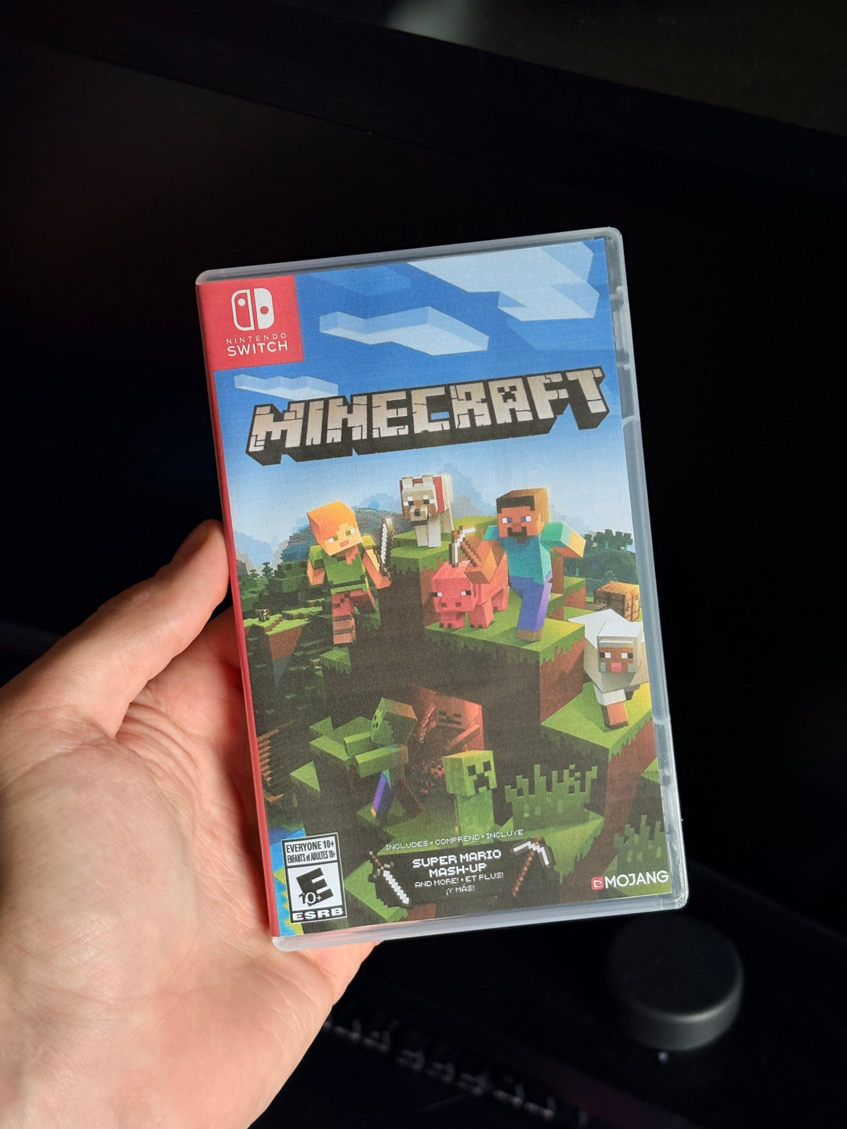 Minecraft Nintendo Switch